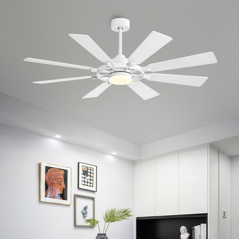 Antoinesha 8 lumières DEL standard avec télécommande et ensemble d'éclairage inclus, Blanc, Blanc, 80"