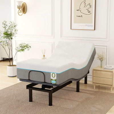Alwyn Home Selected！Smart Adjustable Bed System with 12" Cooling Gel Mattress - Zero Gravity, Anti-Snore, Massage, USB Charging, 750Lbs Capacity