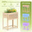 Wood Elevated Planter