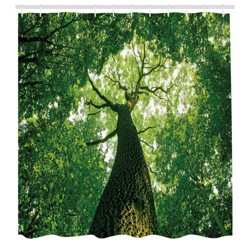 Shower Curtain with Hooks Included, 70" H x 69" W