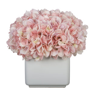 Hydrangea Arrangement