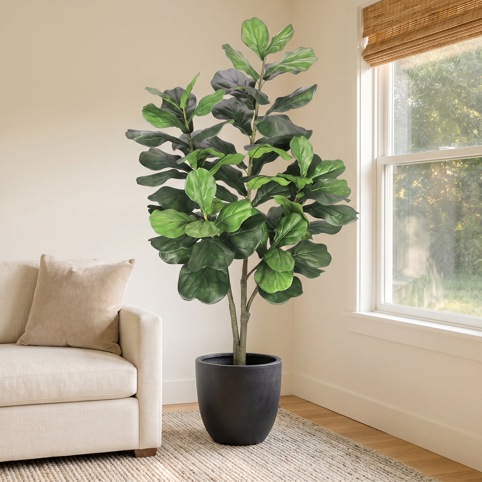 Fiddle Leaf Fig Tree in Pot, 72" x 33"