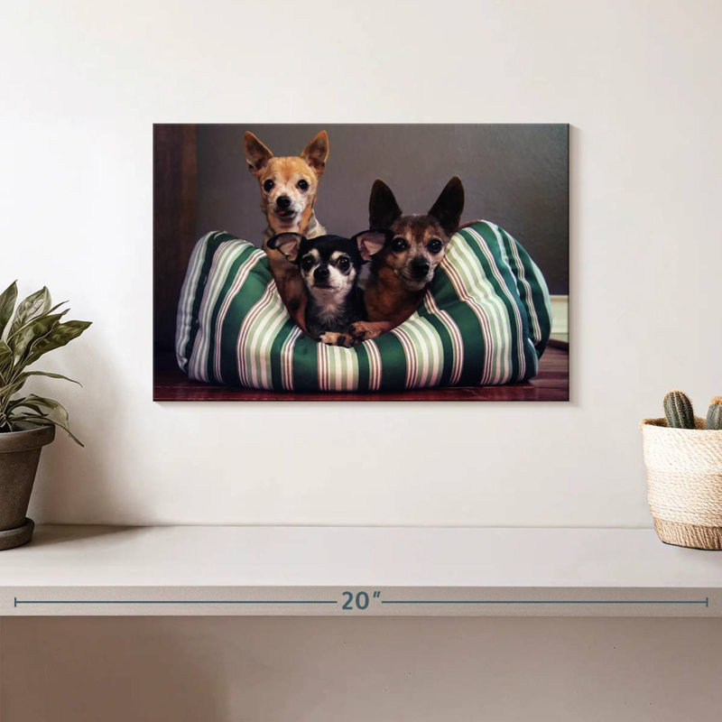 Crowle Chihuahua Friends, H 8 po x l 12 po