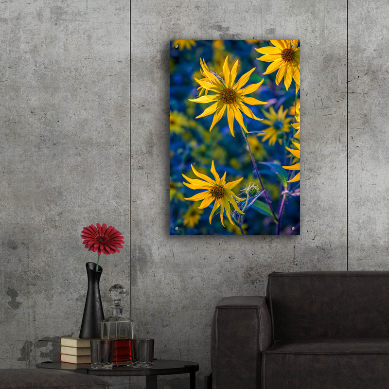 «Helianthus Giganteus II» par Rick Berk, H 36 po x l 24 po x P 0,2 po