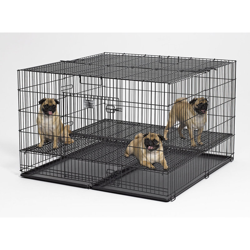 Chenil en plastique pour chiot, Grand (H 30 po x l 48 po x P 48 po), Grille d'étage de 1/2 po