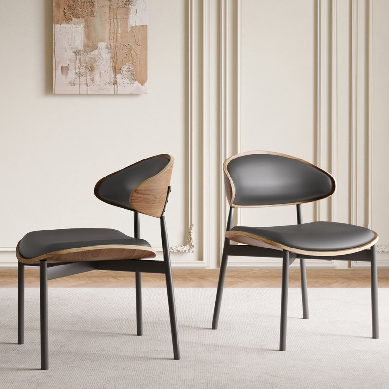 Cathelijn 2-piece Dining Chair Set, Black