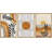 Mid-Century Geometric Sun Desert Plants - 3 Piece Floater Frame Graphic Art Set on Canvas-73721073-73721076