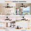 Kymiere 18.1'' Ceiling Fan with LED Lights