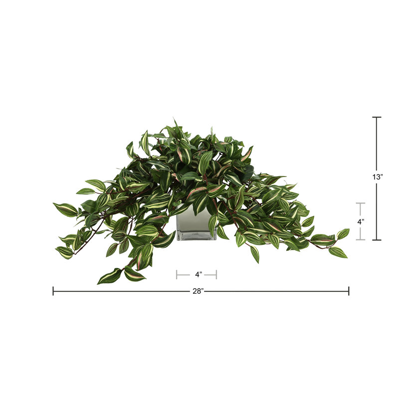 Ricka Faux Tradescantia Plant in Glass Pot