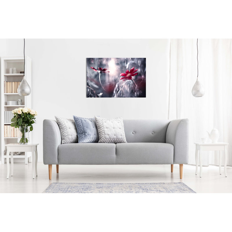 Daisy Flower Reflection - Wrapped Canvas Print, 41cm H x 61cm W
