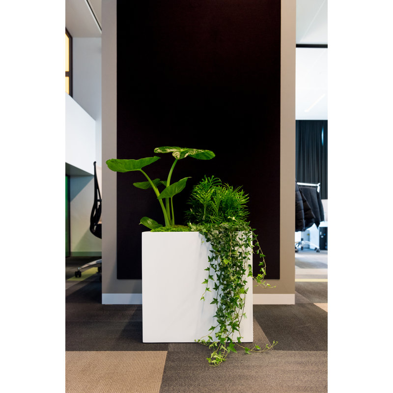 Bloc L, blanc mat
