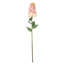 Hydrangea Stem-1909372783