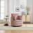 Rose est en rupture de stock