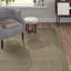 Durbin Solid Colour Wool Hand Woven Area Rug-14461970