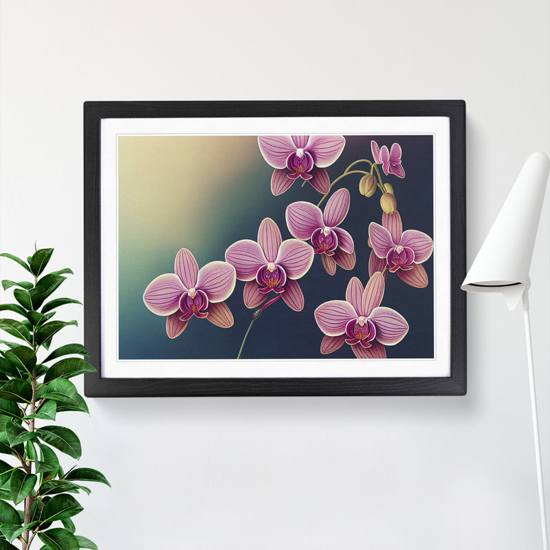 Cheerful Orchid Flowers - Single Picture Frame Print, Black, 34cm H x 46cm W x 2cm D