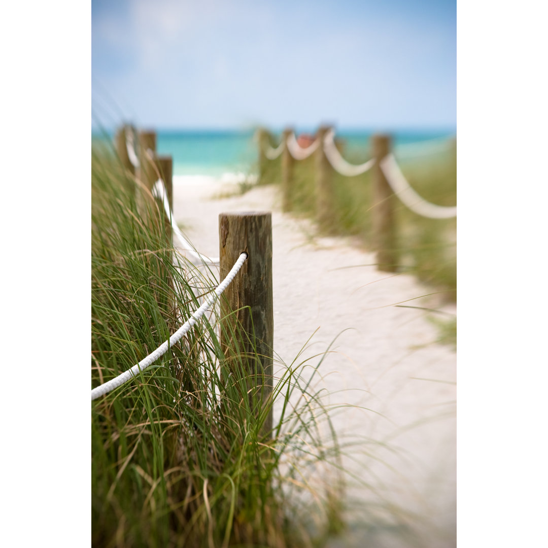 Pathway To The Beach von Pablohart - Kunstdrucke auf Leinwand ohne Rahmen