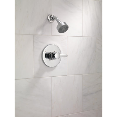 Ensemble de garniture de douche thermostatique Apex avec poignée levier simple