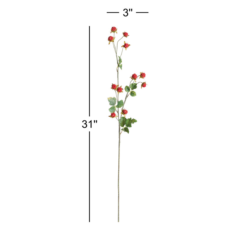 Wild Blackberry 31-Inch Stem, Red