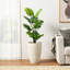 3,5 pi Faux Monstera Deliciosa Liebm en pot
