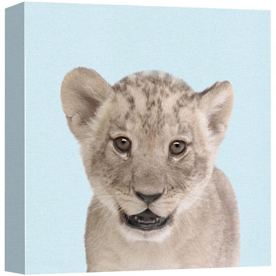 Lion lion - reproduction sur toile tendue