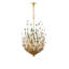Delphos 6 - Light Chandelier