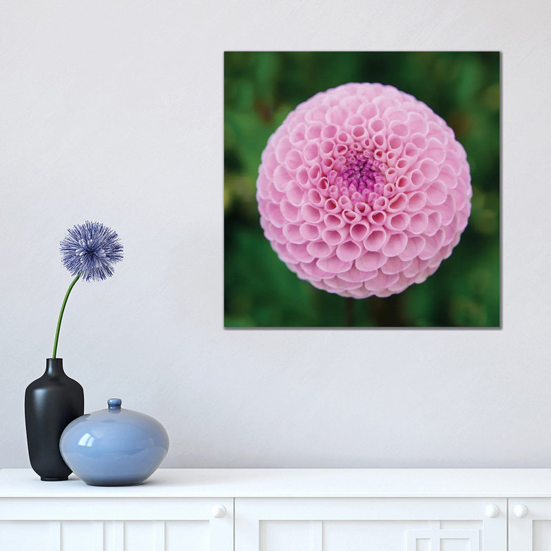Inverted Ginko V by Albert Koetsier - Gallery-Wrapped Canvas Giclée on Canvas, Wrapped Canvas