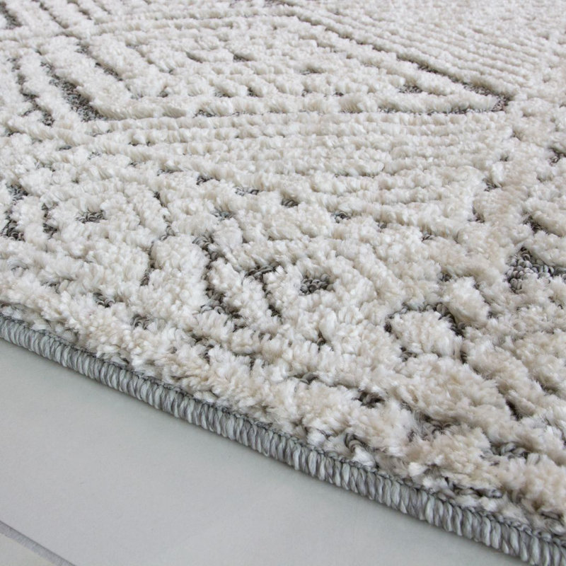 Gregorio Oriental Area Rug, Rectangle 120 x 170cm