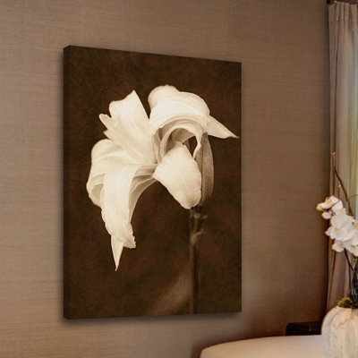 « pétal profusion » par leda robertson, reproduction d’art sur toile tendue