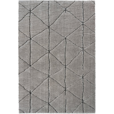 Hillview Geometric Area Rug