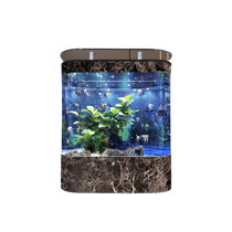 Fish Tank Sizes & Types: How to Choose the Right Aquarium