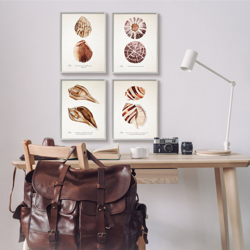 Elegant Beach Seashells Exquise Marine Life4pcAnnie Warren, H 11 po x l 14 po, Estampe numérique Farmhouse