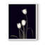 «Tulip Pose III», reproduction encadrée - bois massif-326003816-326003815