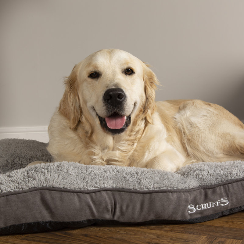Cosy Polyester Pet Bed