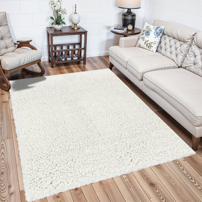 Shag Area Rug