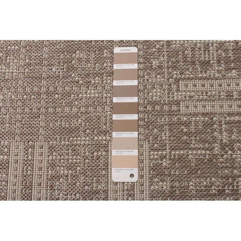 Bralon Indoor / Outdoor Rug, Rectangle 3'3" x 4'7"