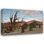 Paulson, Don Gallery, toile tendue de la Californie, forêt de pins de Bristlecone, Inyo, NF (66_US05 BJA0691)