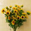 Artificial Arrangement