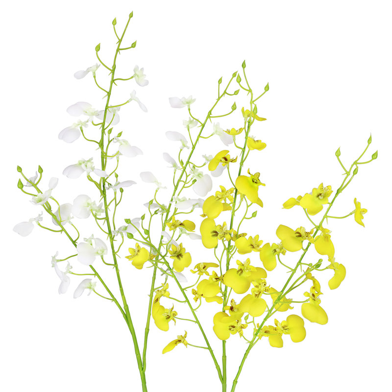 Vaporisateur d'orchidées dansantes, Blanc crème