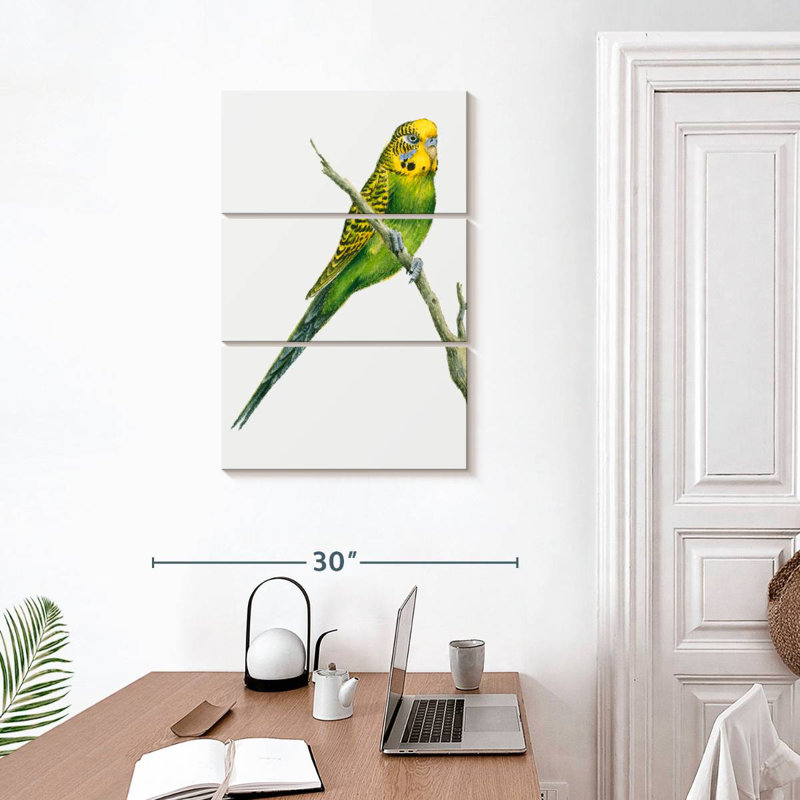 Brampt Perched Budgerigar, 32" H x 20" W