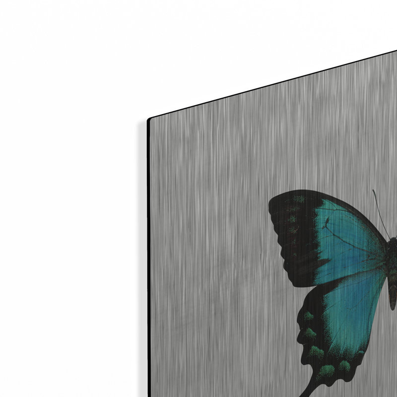 «Blue Butterfly» par PhotoINC Studio, H 24 po x l 24 po