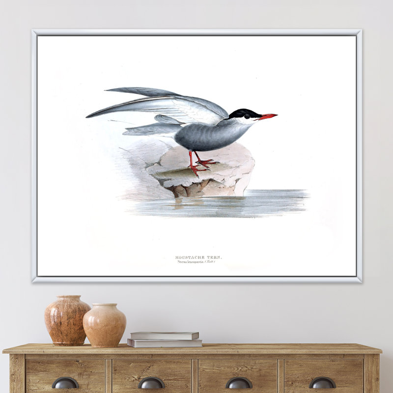 Oiseau rétro de l'Europe I - peinture sur toile, H 16 po x l 32 po x p 1 po, Cadre flottant blanc