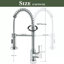 Belfry Kitchen Schunemunk Pull Down Kitchen Faucet