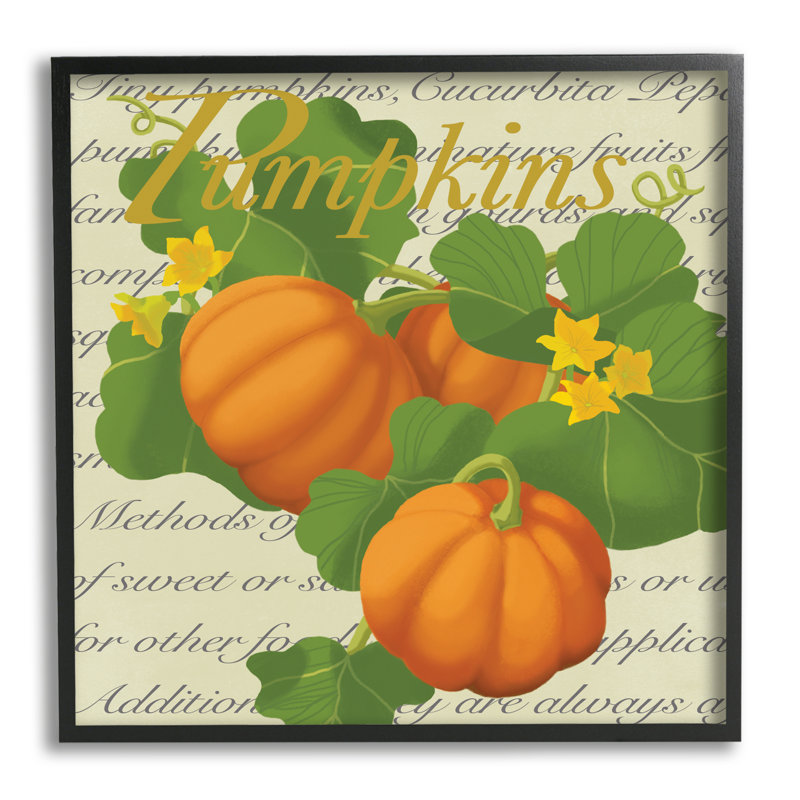 Citrouille, courge florale, typographie rétro, H 24 po x l 24 po, Giclée encadrée noir minuit