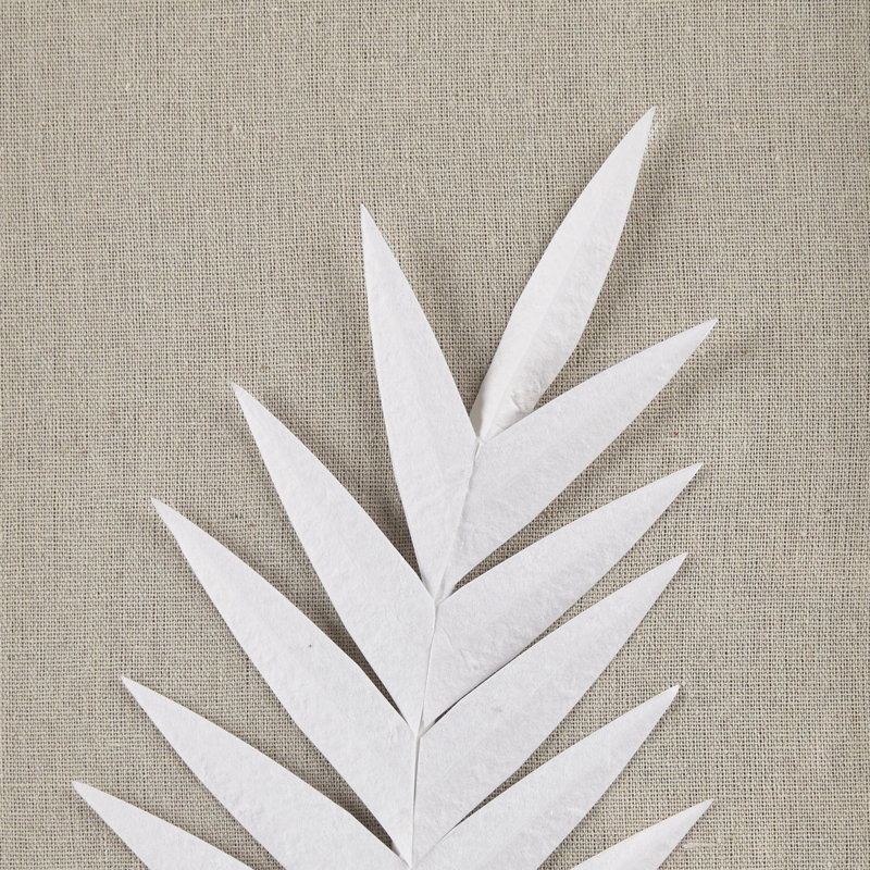 Off-White Framed Rice Paper Palm Leaves Shadowbox Set