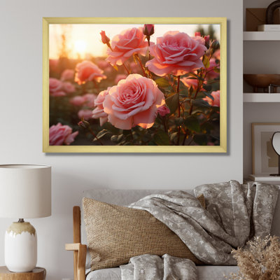 " Pink Roses Field With Sunset "