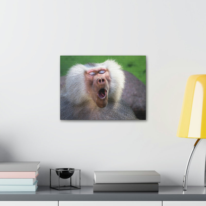 No Frame Print on Canvas, 11cm H x 14cm W