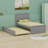 Platform Bed With Trundle-294442680
