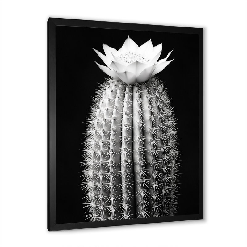 Cactus gris élégant en monochrome I - impressions sur toile florales et botaniques, Cadre photo noir