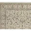 Elegance Oriental Area Rug in Ivory