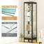 63" H Metal Display Cabinet Tempered Glass Curio Cabinet with Adjustable Shelves, RGB Lighting, Lockable-9749762